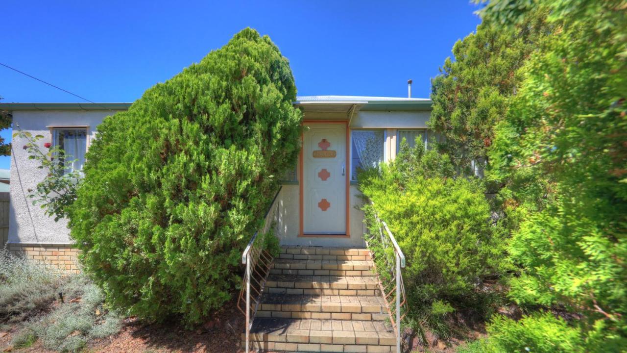 The Vines Motel & Cottages Stanthorpe Exterior foto
